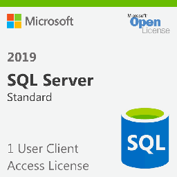 [359-06866-A] SQL Server 2019 Standard - User CAL